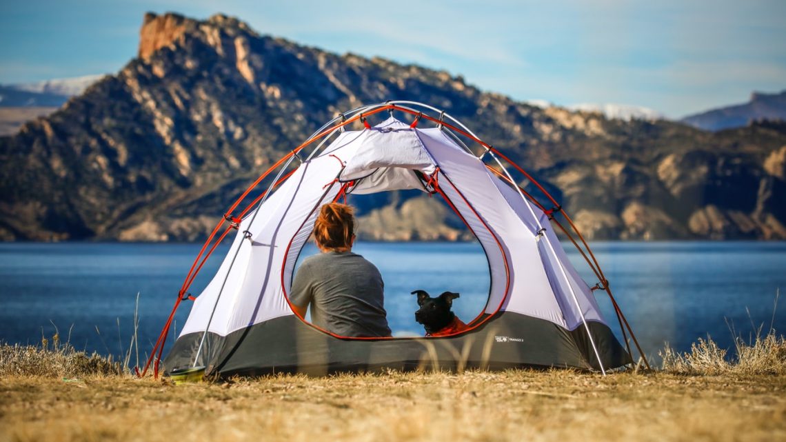 Camper avec son chien