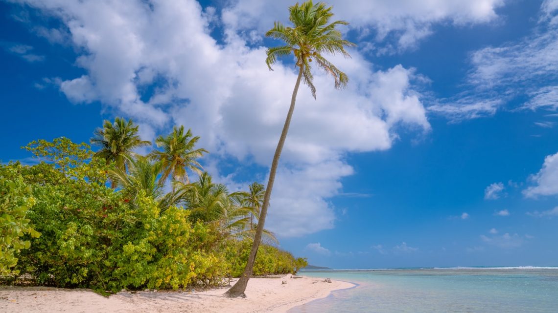 Bon plan :  louer un véhicule pour vos séjours en Guadeloupe